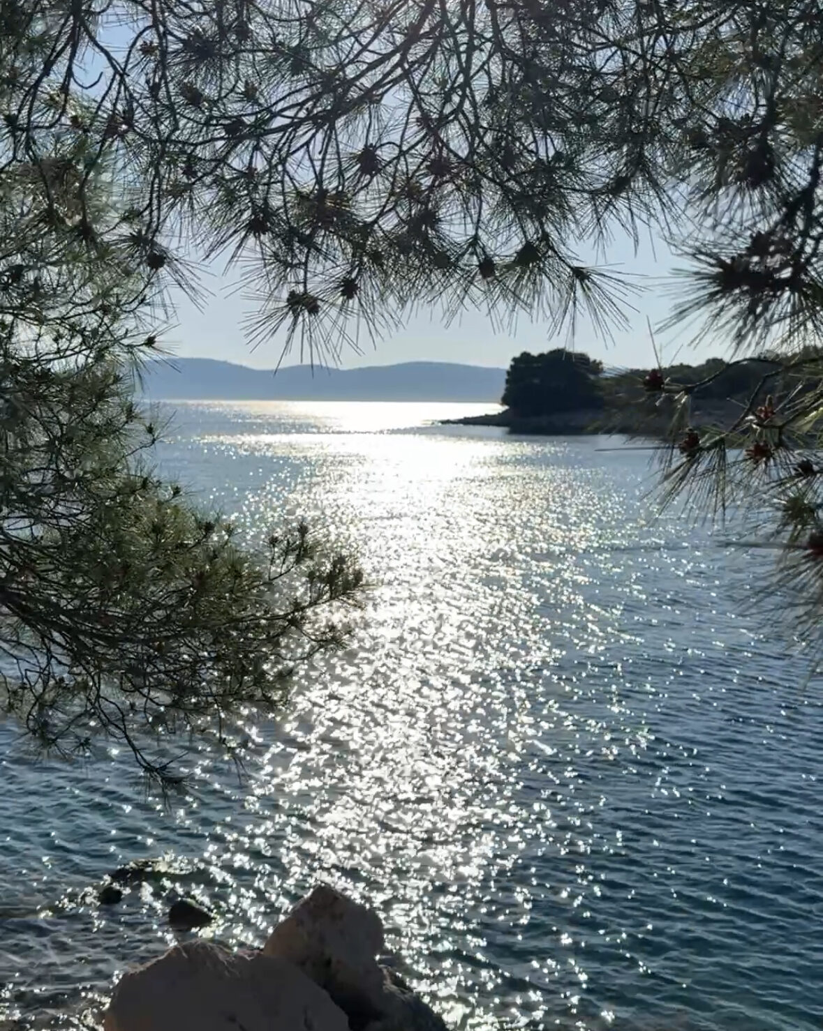 Udruženje Svetlost na PBA događaju u Hrvatskoj